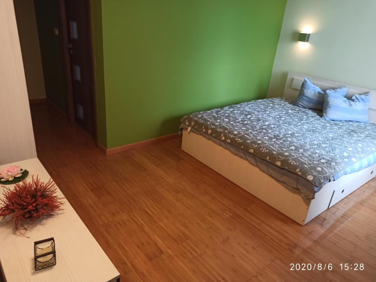 מלון טימישוארה Casa Tiky מראה חיצוני תמונה